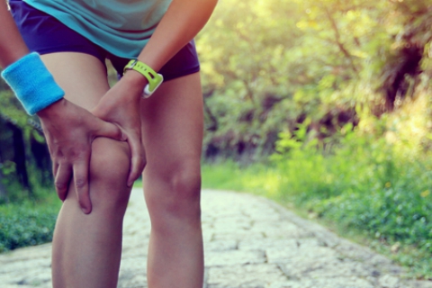 Interesting Facts about the Knee’s “Key Infrastructure”